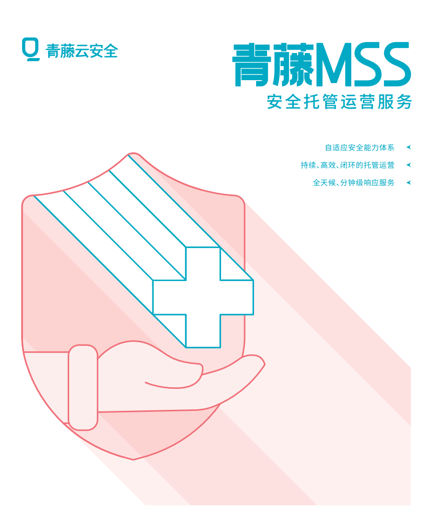 青藤MSS手册