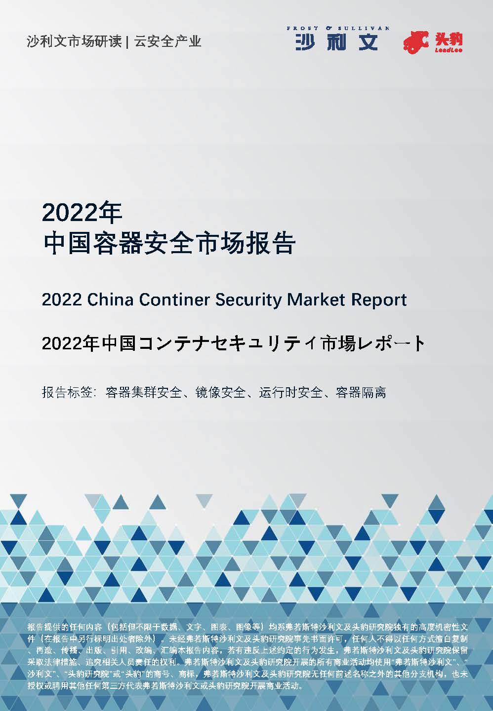 2022年中国容器安全市场报告