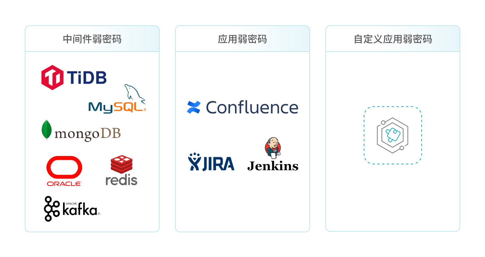 弱密码检测