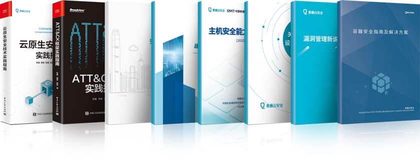 漏洞报告