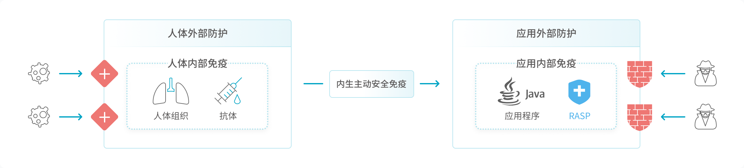 产品概述